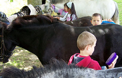 Tootazimut colonie classe decouverte